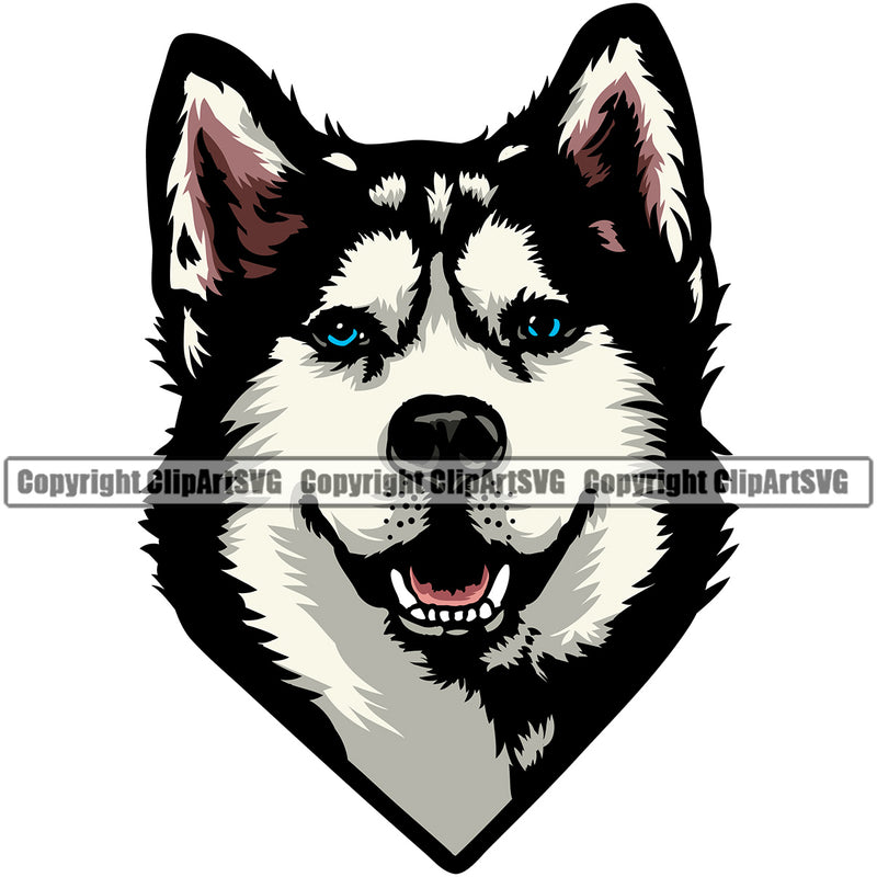 Siberian Husky Dog Color Head Design Element Puppy Pup Head Purebred Pedigree Canine K-9 K9 Animal Portrait Doggy Smile Face Cute Body Vector Clipart SVG