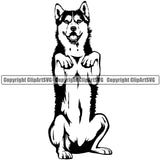 Siberian Husky Dog Begging Design Element Puppy Pup Head Purebred Pedigree Canine K-9 K9 Animal Portrait Body  Doggy Smile Face Cute Vector Clipart SVG