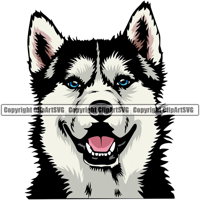Siberian Husky Dog Smile Face Design Element Puppy Pup Head Purebred Pedigree Canine K-9 K9 Animal Portrait Doggy Cute Body Vector Clipart SVG