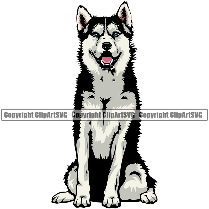 Siberian Husky Dog Sitting Design Element Puppy Pup Head Purebred Pedigree Canine K-9 K9 Animal Portrait Doggy Smile Face Cute Body Vector Clipart SVG