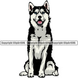 Siberian Husky Dog Sitting Design Element Puppy Pup Head Purebred Pedigree Canine K-9 K9 Animal Portrait Doggy Smile Face Cute Body Vector Clipart SVG