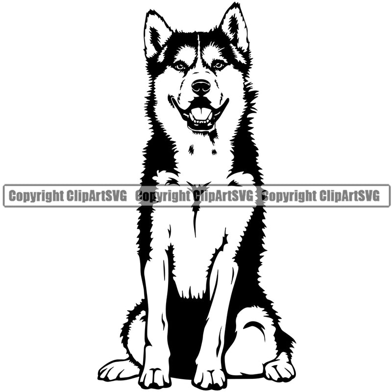 Siberian Husky Sitting Dog Design Element Puppy Canine K-9 K9 Animal Portrait Doggy Smile Face Cute Body Head Purebred Pedigree Vector Clipart SVG