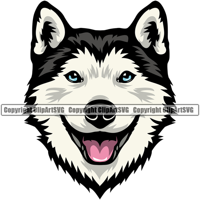 Siberian Husky Dog Head Color Design Element Puppy Pup  K9 Animal Portrait Doggy Smile Face Cute Body Purebred Pedigree Canine K-9Vector Clipart SVG