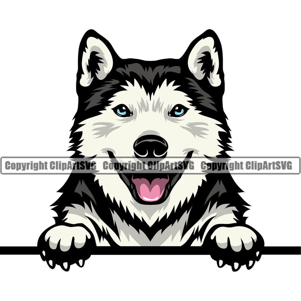 Siberian Husky Dog Peeking Design Element Puppy Pup Head Purebred Pedigree Canine K-9 K9 Animal Portrait Doggy Smile Face Cute Body Vector Clipart SVG