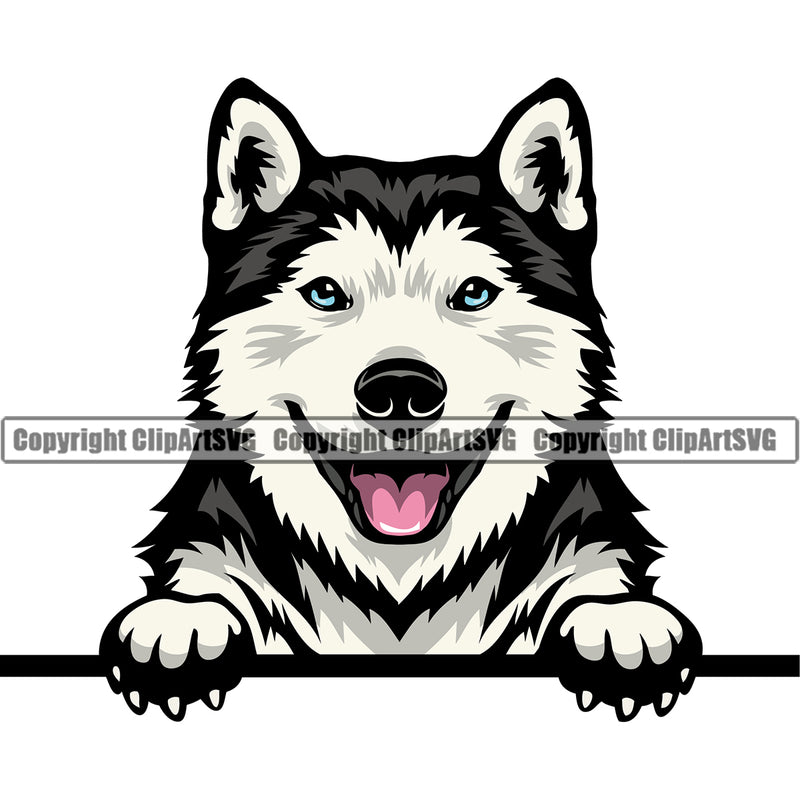 Siberian Husky Dog Peeking Design Element Puppy Pup Head Purebred Pedigree Canine K-9 K9 Animal Portrait Doggy Smile Face Cute Body Vector Clipart SVG