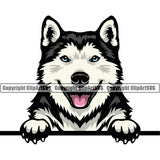 Siberian Husky Dog Peeking Design Element Puppy Pup Head Purebred Pedigree Canine K-9 K9 Animal Portrait Doggy Smile Face Cute Body Vector Clipart SVG