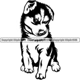 Siberian Husky Dog Sitting Design Element Canine K-9 K9 Animal Portrait Doggy Smile Face Cute Body Puppy Pup Head Purebred Pedigree Vector Clipart SVG