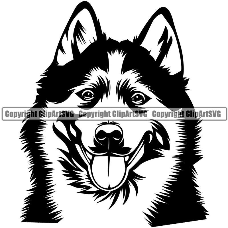 Siberian Husky Dog Head Design Element Puppy Pup Head Purebred Pedigree Beautiful Canine K-9 K9 Animal Portrait Doggy Smile Face Cute Body Vector Clipart SVG