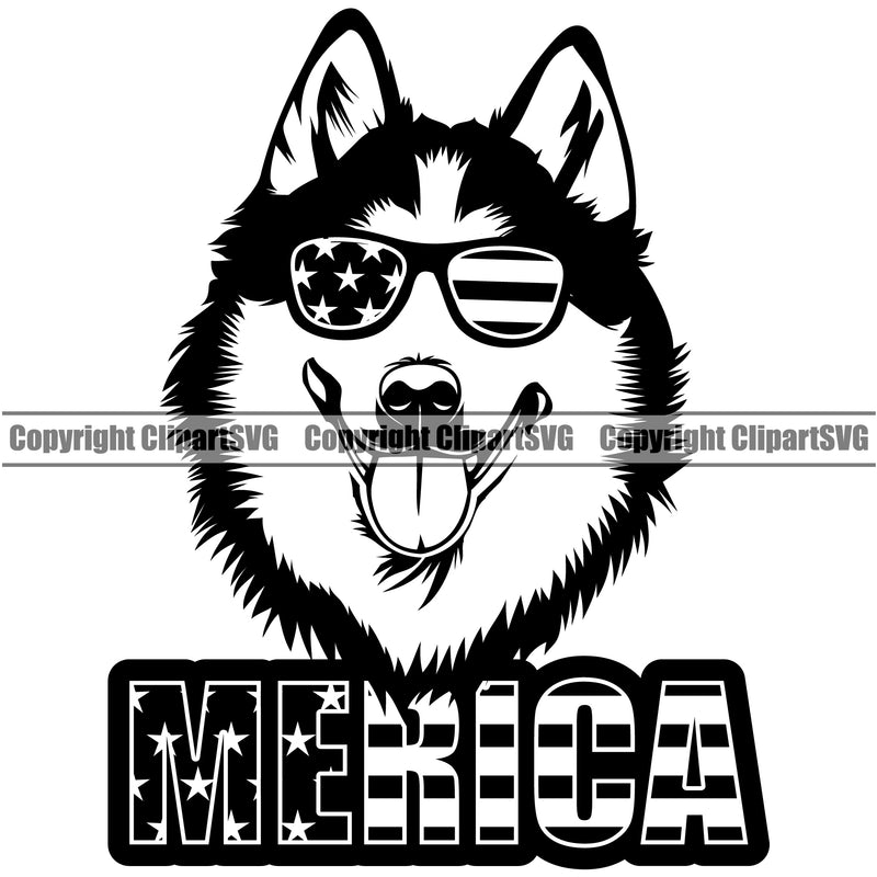 Siberian Husky Dog Wearing Sunglasses With Merica Text Design Element Puppy Pup Head Purebred Pedigree Canine K-9 K9 Animal Portrait Doggy Smile Face Cute Body Vector Clipart SVG