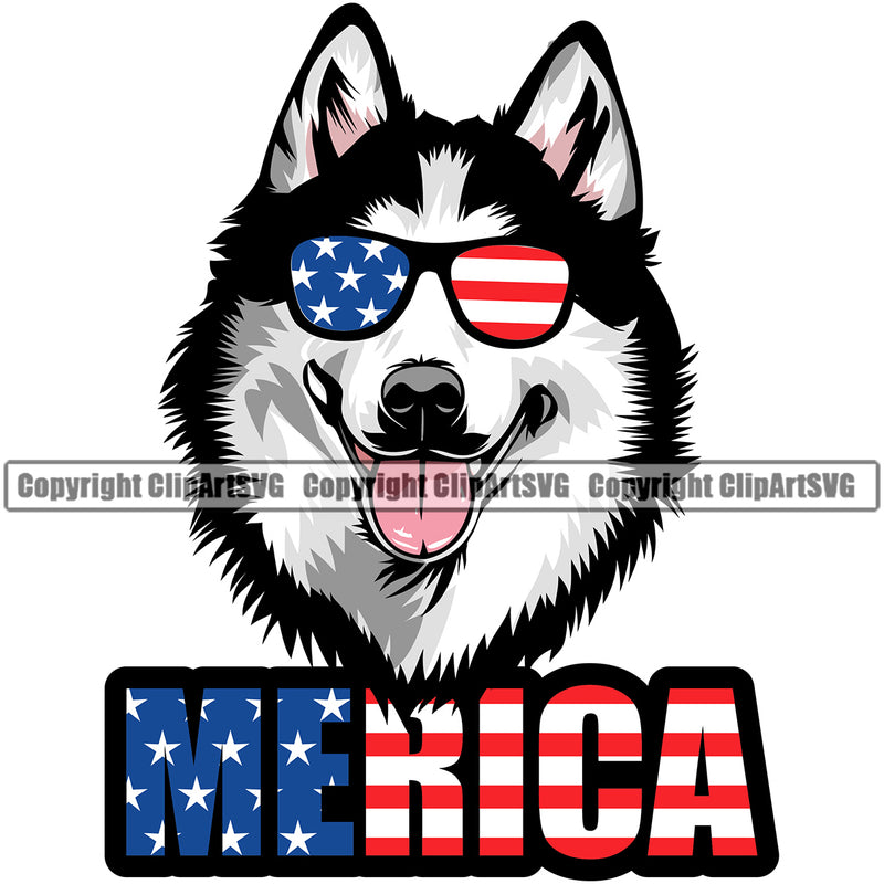 Siberian Husky Dog Wearing Sunglasses With Merica Text Color USA Flag Design Element Puppy Pup Head Purebred Pedigree Canine K-9 K9 Animal Portrait Doggy Smile Face Cute Body Vector Clipart SVG