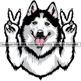 Siberian Husky Dog Peace Hand Sign Color Design Element Puppy Pup Head Purebred Pedigree Cute Body Vector Canine K-9 K9 Animal Portrait Doggy Smile Face Clipart SVG