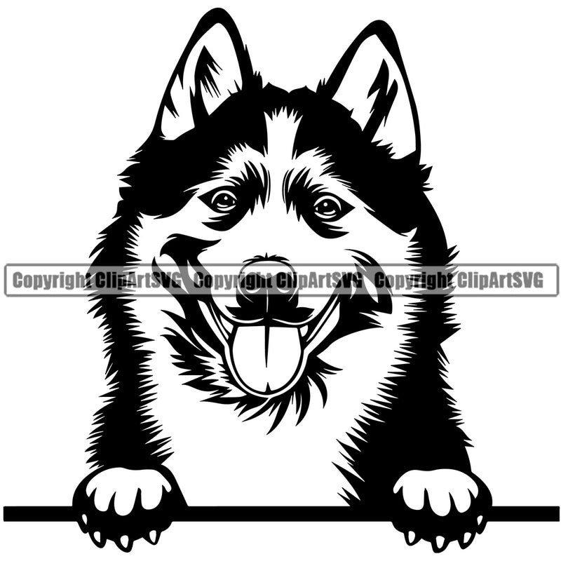 Siberian Husky Dog Peeking Design Element Canine K-9 K9 Animal Portrait Doggy Smile Face Cute Body Puppy Pup Head Purebred Pedigree Vector Clipart SVG
