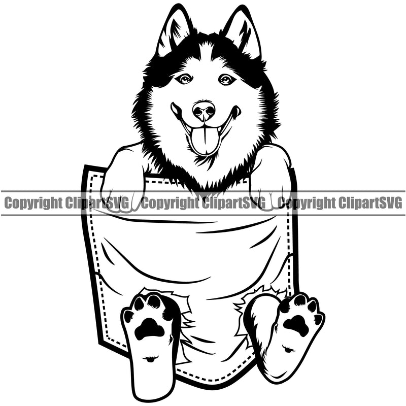 Siberian Husky Dog Hanging From Shirt Pocket White Color T-Shirt Tshirt Design Element Puppy Pup Head Purebred Pedigree Canine K-9 K9 Animal Portrait Doggy Smile Face Cute Body Vector Clipart SVG