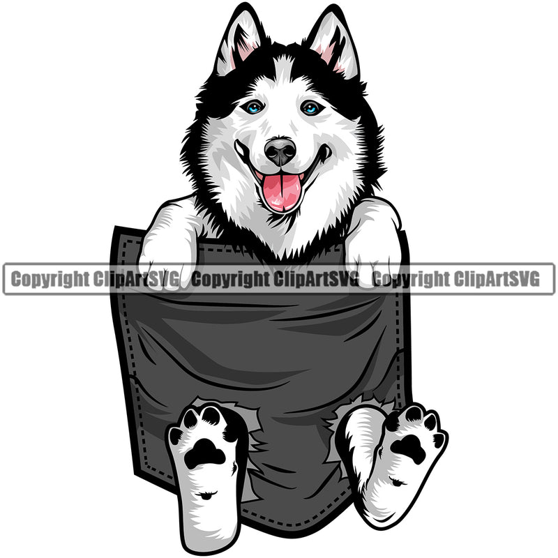 Siberian Husky Dog Hanging From Shirt Pocket T-Shirt Tshirt Black Color Design Element Puppy Pup Head Purebred Pedigree Canine K-9 K9 Animal Portrait Doggy Smile Face Cute Body Vector Clipart SVG