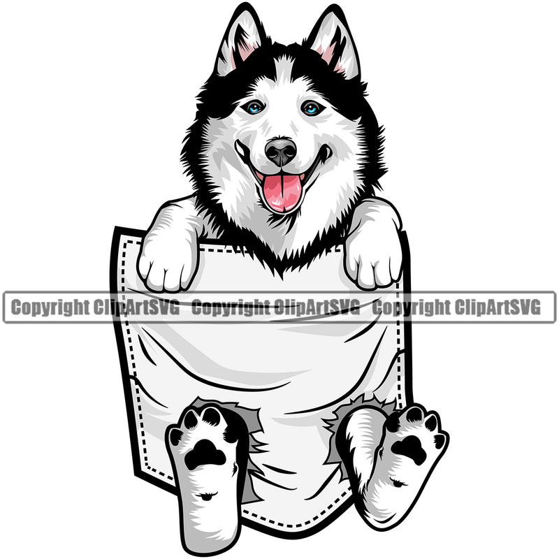 Siberian Husky Dog Hanging From Shirt Pocket T-Shirt Tshirt Color Design Element Puppy Pup Head Purebred Pedigree Canine K-9 K9 Animal Portrait Doggy Smile Face Cute Body Vector Clipart SVG