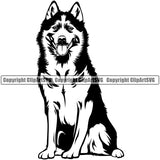 Siberian Husky Dog Sitting Design Element Puppy Smile Face Cute Body Pup Head Purebred Pedigree Canine K-9 K9 Animal Portrait Doggy Vector Clipart SVG