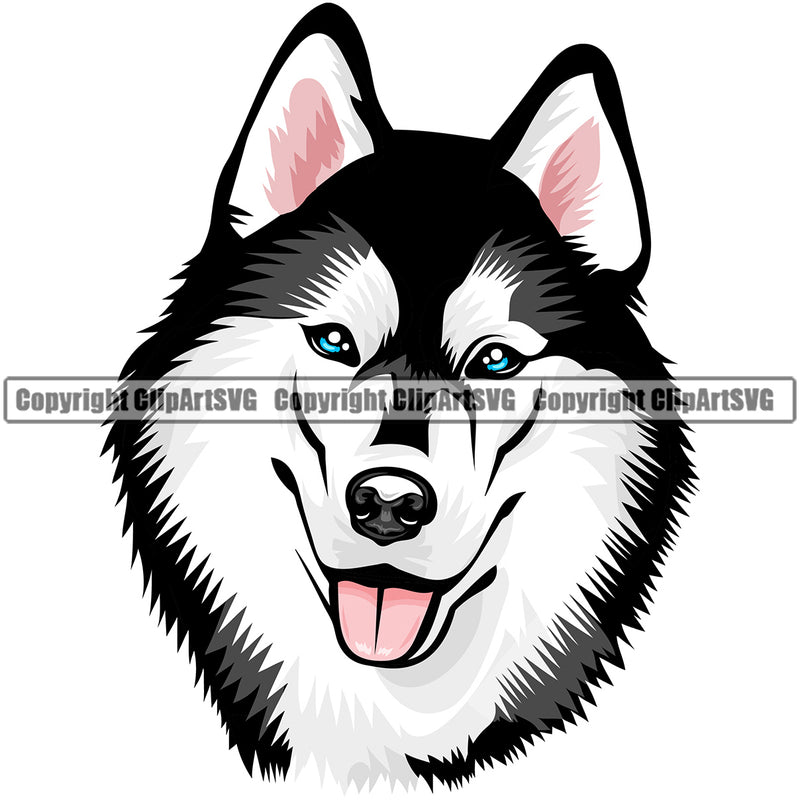 Siberian Husky Dog Color Head Design Element Canine K-9 K9 Animal Portrait Doggy Smile Face Cute Body Puppy Pup Head Purebred Pedigree Vector Clipart SVG
