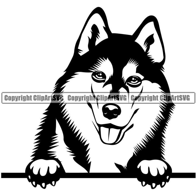 Siberian Husky Dog Peeking Puppy Pup Head Purebred Pedigree Design Element Canine K-9 K9 Animal Portrait Doggy Smile Face Cute Body Vector Clipart SVG