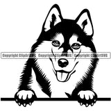 Siberian Husky Dog Peeking Puppy Pup Head Purebred Pedigree Design Element Canine K-9 K9 Animal Portrait Doggy Smile Face Cute Body Vector Clipart SVG