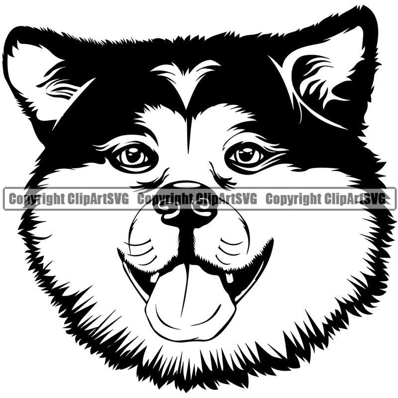 Siberian Husky Dog Smile Face Design Element Puppy Pup Head Purebred Pedigree Canine K-9 K9 Animal Portrait Doggy Cute Body Vector Clipart SVG