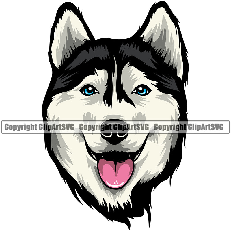 Siberian Husky Color Head Cute Dog Design Element Puppy Pup Purebred Pedigree Canine K-9 K9 Animal Portrait Doggy Smile Face Cute Body Vector Clipart SVG