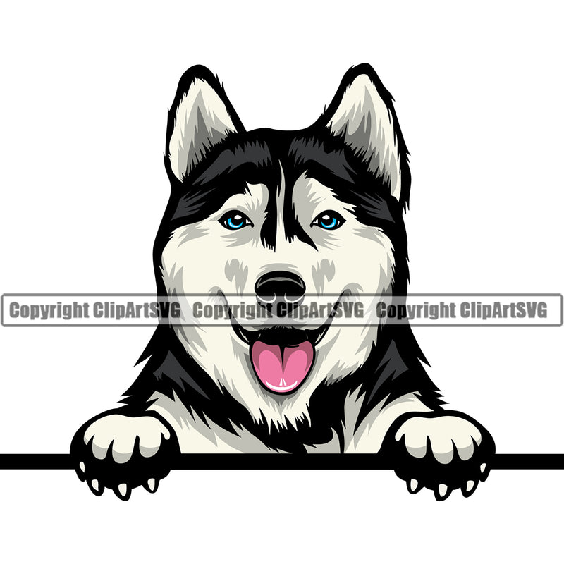 Siberian Husky Cute Dog Peeking Color Head Design Element Puppy Pup Purebred Pedigree Canine K-9 K9 Animal Portrait Doggy Smile Face Cute Body Vector Clipart SVG