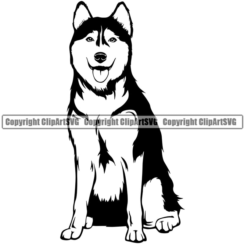 Siberian Husky Dog Sitting Design Element Puppy Pup Head Purebred Pedigree Canine K-9 K9 Animal Portrait Doggy Smile Face Cute Body Vector Clipart SVG