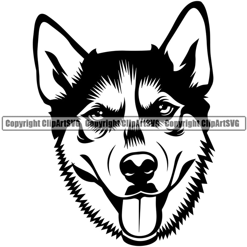 Siberian Husky Cute Dog Design Element Puppy Pup Canine K-9 K9 Animal Portrait Doggy Smile Face Cute Body Purebred Pedigree Vector Clipart SVG