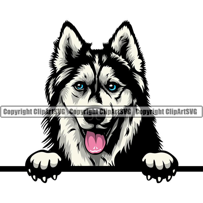 Siberian Husky Peeking Dog Design Head Purebred Pedigree Element Puppy Pup Canine K-9 K9 Animal Portrait Doggy Smile Face Cute Body Vector Clipart SVG