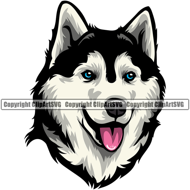 Siberian Husky Dog Head Color Design Element Puppy Pup Beautiful Purebred Pedigree Canine K-9 K9 Animal Portrait Doggy Smile Face Cute Body Vector Clipart SVG