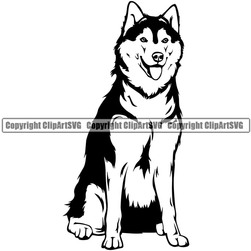 Siberian Husky Dog Sitting Design Element Puppy Head Purebred Pedigree Beautiful Canine K-9 K9 Animal Portrait Doggy Smile Face Cute Body Vector Clipart SVG