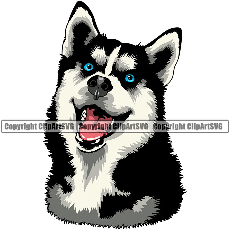 Siberian Husky Smile Face Dog Design Element Puppy Pup Head Purebred Pedigree Canine K-9 K9 Animal Portrait Doggy Cute Body Vector Clipart SVG