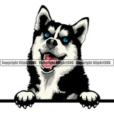 Siberian Husky Dog Peeking Design Element Puppy Pup Head Purebred Pedigree Canine K-9 K9 Animal Portrait Doggy Smile Face Cute Body Vector Clipart SVG