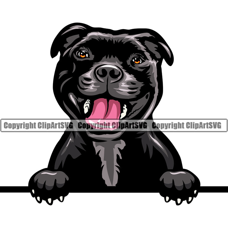 Staffordshire Bull Terrier Peeking Color Dog Element Puppy Pup Head Purebred Pedigree Canine K-9 K9 Animal Face Cute Body Portrait Doggy Smile Vector Clipart SVG