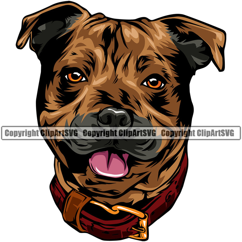 Staffordshire Bull Terrier Dog Brow Color Design Element Puppy Pup Head Purebred Pedigree Canine K-9 K9 Smile Face Cute Body Animal Portrait Doggy Vector Clipart SVG