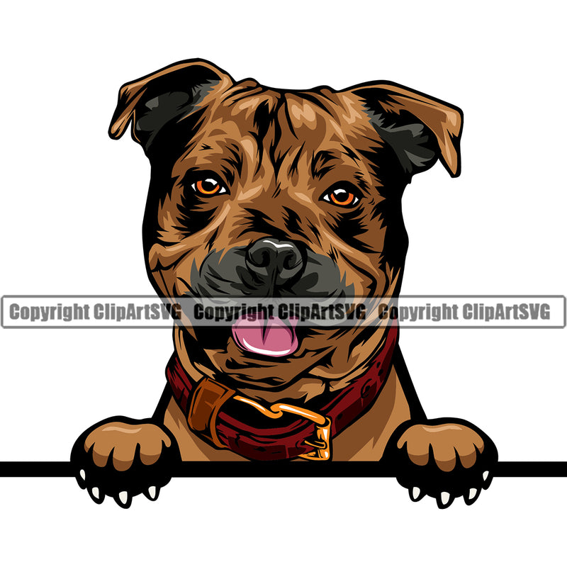Staffordshire Bull Terrier Dog Peeking Design Color Element Puppy Pup Head Purebred Pedigree Canine K-9 K9 Animal Portrait Doggy Smile Face Cute Body Vector Clipart SVG