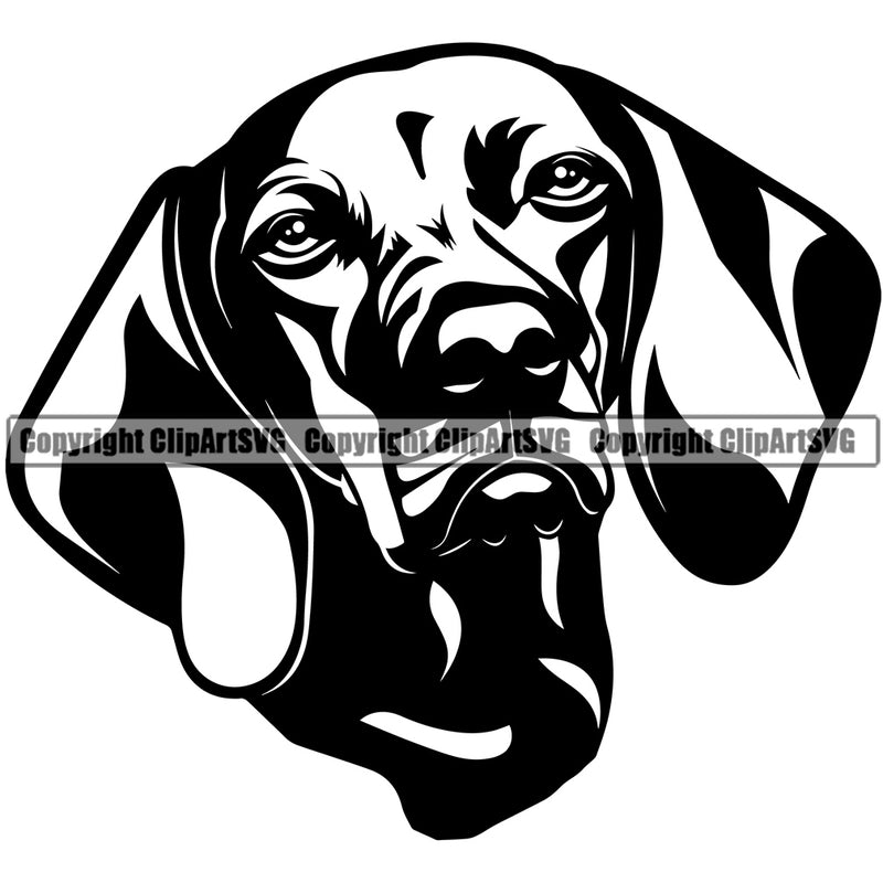 Vizsla Dog Black Color Design Element Puppy Pup Head Purebred Pedigree Canine K-9 K9 Animal Portrait Doggy Smile Face Cute Body Vector Clipart SVG
