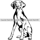 Weimaraner Dog Sitting Design Element Puppy Pup Head Purebred Pedigree Canine K-9 K9 Animal Portrait Doggy Smile Face Cute Body Vector Clipart SVG