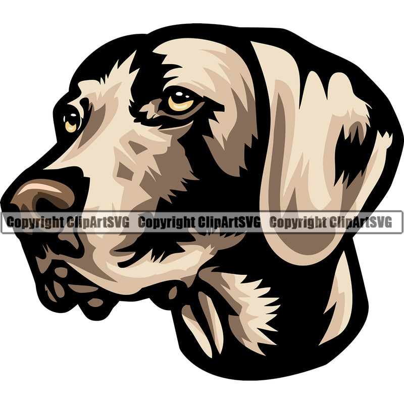 Weimaraner Dog Color Head Design Element Puppy Pup Purebred Doggy Smile Face Cute Body Pedigree Canine K-9 K9 Animal Portrait Vector Clipart SVG