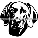 Weimaraner Dog Head Purebred Pedigree Design Element Puppy Pup Canine K-9 K9 Animal Portrait Doggy Smile Face Cute Body Vector Clipart SVG