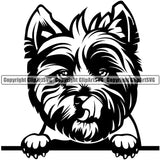 West Highland White Terrier Dog Peeking Design Element Puppy Pup Purebred Pedigree Canine K-9 K9 Animal Portrait Doggy Smile Face Cute Body Vector Clipart SVG