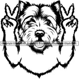 West Highland White Terrier Dog Peace Hand Sign Design Element Puppy Pup Head Purebred Pedigree Canine K-9 K9 Animal Portrait Doggy Smile Face Cute Body Vector Clipart SVG
