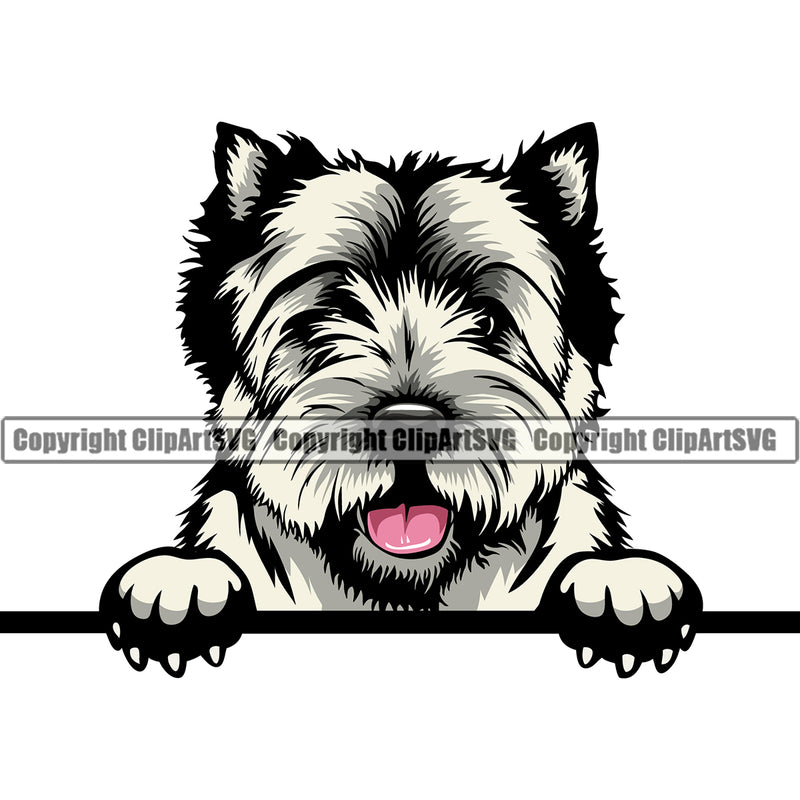 West Highland White Terrier Color Dog Peeking Design Element Puppy Pup Head Purebred Pedigree Canine K-9 K9 Animal Portrait Doggy Smile Face Cute Body Vector Clipart SVG