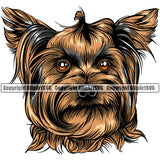 Yorkie Cute Face Dog Brown Color Design Element Puppy Pup Head Purebred Pedigree Canine K-9 K9 Animal Portrait Doggy Smile Body Vector Clipart SVG