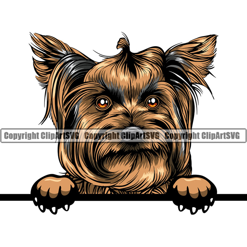 Yorkie Dog Brown Color Peeking Design Element Puppy Pup Head Purebred Pedigree Canine K-9 K9 Animal Portrait Doggy Smile Face Cute Body Vector Clipart SVG