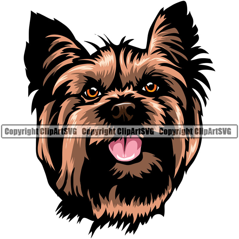 Yorkie Dog Color Head Design Element Puppy Pup Doggy Smile Face Cute Body Purebred Pedigree Canine K-9 K9 Animal Portrait Vector Clipart SVG