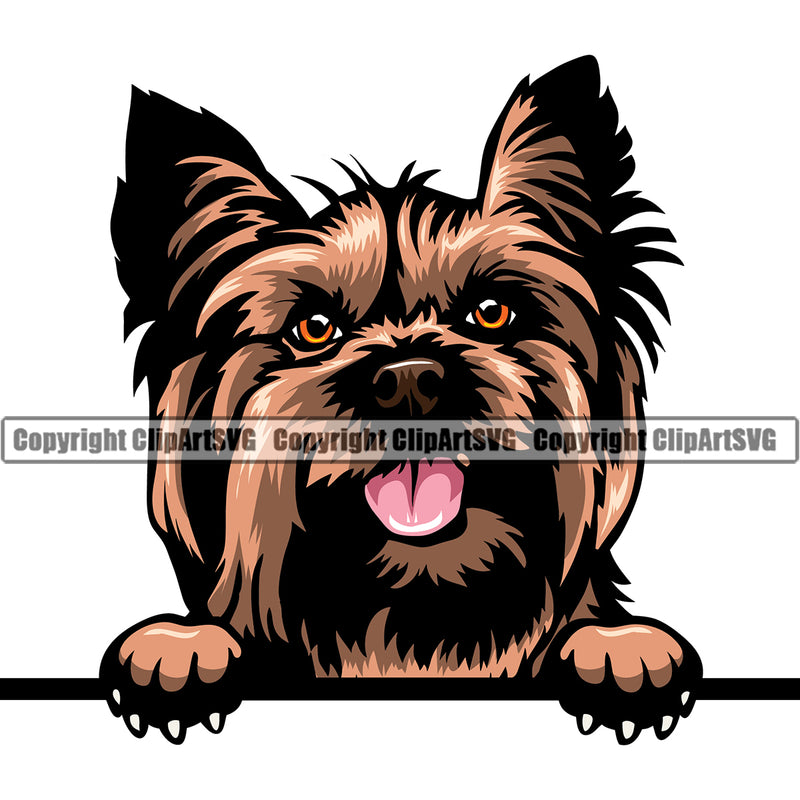 Yorkie Dog Design Element Peeking Color Brown Puppy Pup Head Purebred Pedigree Canine K-9 K9 Animal Portrait Doggy Smile Face Cute Body Vector Clipart SVG