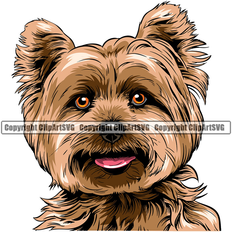 Yorkie Dog Head Color Design Element Puppy Pup Purebred Pedigree Doggy Smile Face Cute Body Canine K-9 K9 Animal Portrait Vector Clipart SVG