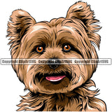 Yorkie Dog Head Color Design Element Puppy Pup Purebred Pedigree Doggy Smile Face Cute Body Canine K-9 K9 Animal Portrait Vector Clipart SVG