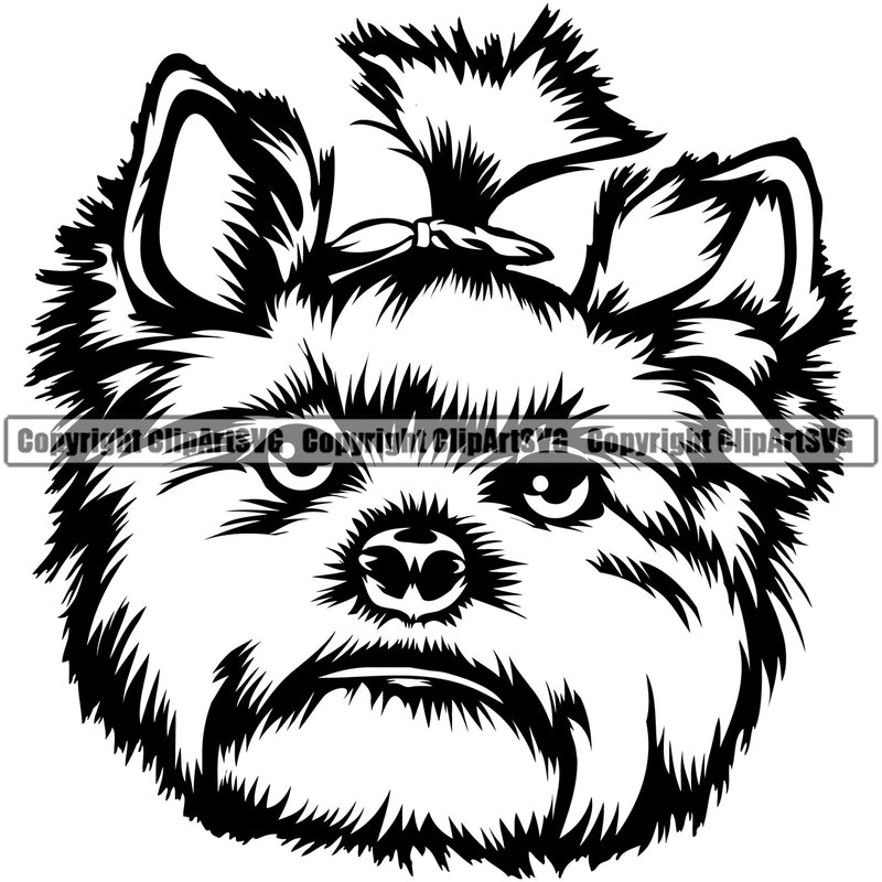 Yorkie Dog Head Design Element Puppy Pup Head Purebred Pedigree Canine K-9 K9 Animal Portrait Doggy Angry Face Cute Body Vector Clipart SVG